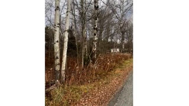 Land For Sale: 115 Shust Road, Greenfield Twp, PA 18407 | CENTURY 21 смотреть онлайн