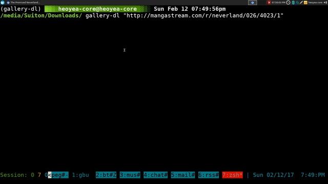 gallery-dl - Image Comic Manga Downloader - Linux CLI смотреть онлайн