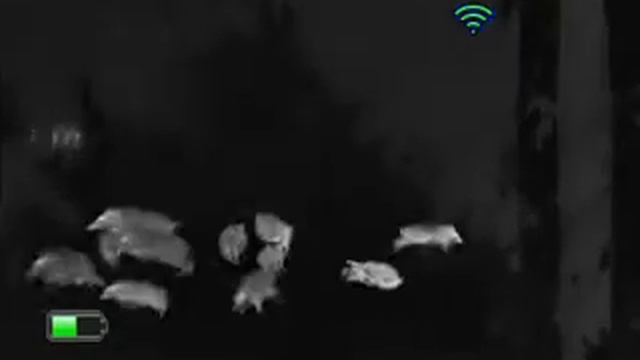 Night Pearl IR 510Xnw смотреть онлайн