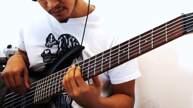 Echidna's Arf (Of You) - Frank Zappa - (Bass Cover) - Ybra Lira смотреть онлайн