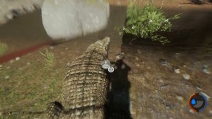 милые крокодилы (The Forest)