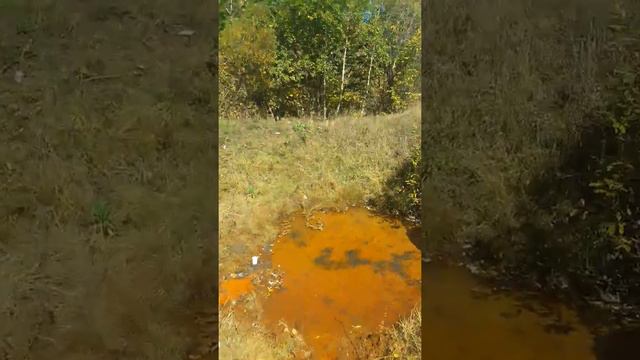 Армения! Страна чудес! смотреть онлайн