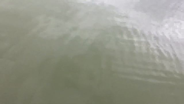 Обработка водоема хлореллой смотреть онлайн