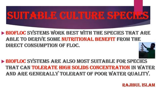 বায়োফ্লক পদ্ধতিতে মাছ চাষের ফ্রি অনলাইন ট্রেনিং পার্ট ০৪ Biofloc Online Training Part 04...Bangl смотреть онлайн