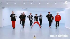 (Stray Kids) - 'Circus' Dance Practice (Magic Dance)