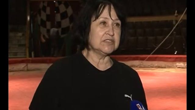 "Железная Рита" и шимпанзе смотреть онлайн
