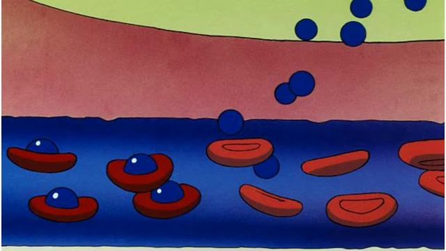 प्रेगनेंसी में internal os is closed का क्या मतलब है | internal vs external os in pregnancy смотреть онлайн