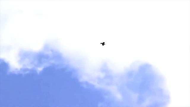 Ральф Воан-Уильямс - Взлетающий жаворонок (1914). (Ralph Vaughan Williams - The Lark Ascending)) смотреть онлайн