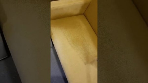 Как пользоваться Karcher Professional puzzi 10/1