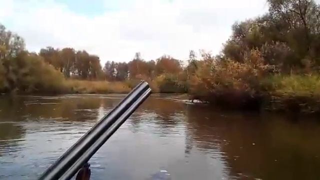 Река рыбная, бобры атаковали смотреть онлайн
