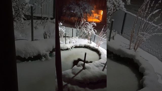 пиявки, разведение как бизнес. Зимовка производителей продолжается. смотреть онлайн