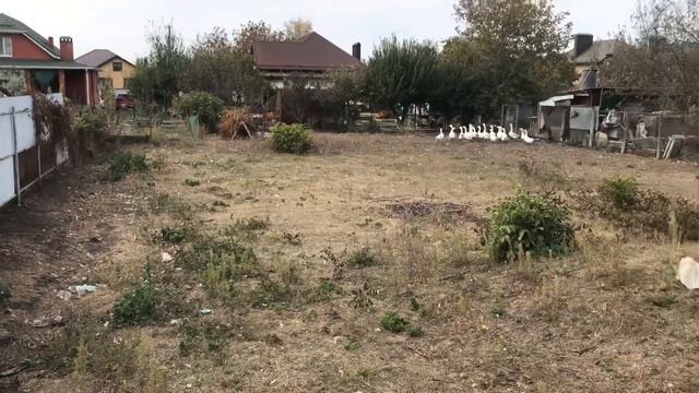 Краснодарский край, Динской район, ст.Динская в продаже земельный участок. смотреть онлайн