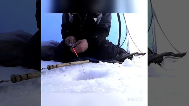 Ловля окуня зимой на мормышку смотреть онлайн