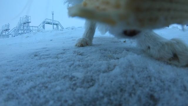 2022-10-31 смотреть онлайн