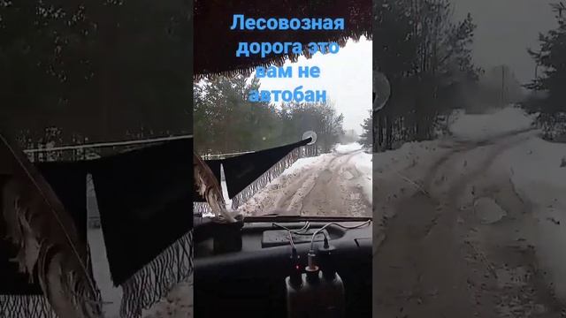 #лесовозы #лесозаготовка#лесотундра#лесобаза смотреть онлайн