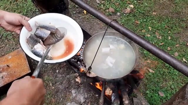 Вкусные рецепты рыбы