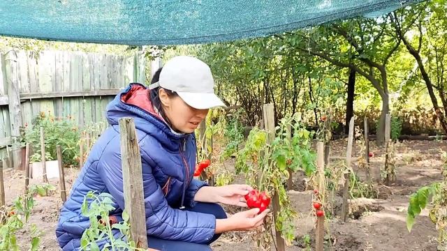 Ремонт Убитого Коридора в Старом Доме. Своими Руками. Реставрация Старых Дверей. Делаем сами. DIY. смотреть онлайн