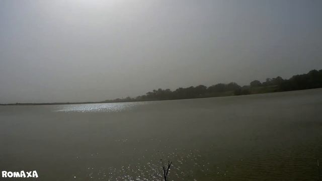 А кто сказал что РЫБАЛКА это просто! Не знаю каким ветром меня туда занесло... смотреть онлайн