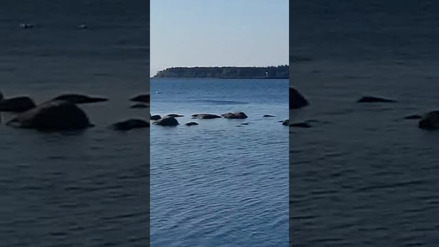 окунь лопает малька смотреть онлайн