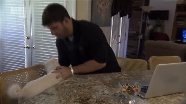 Порода собак Шиба-ину смотреть онлайн