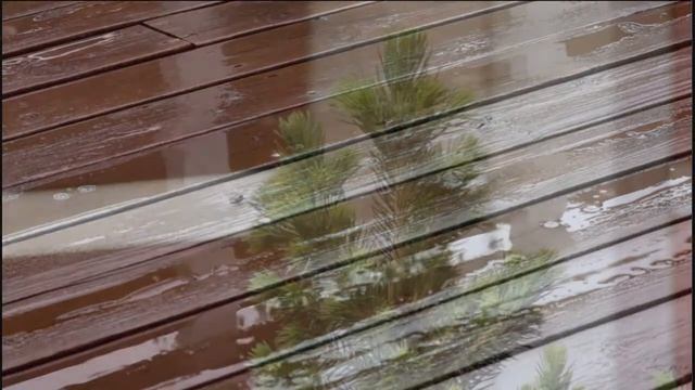 Canon EOS 550D Clip On A Rainy Day