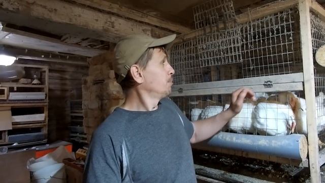СВЕЖИЕ НОВОСТИ! Косить будет легче, огород - месяц за 1 минуту и "бройлерное" резюме смотреть онлайн