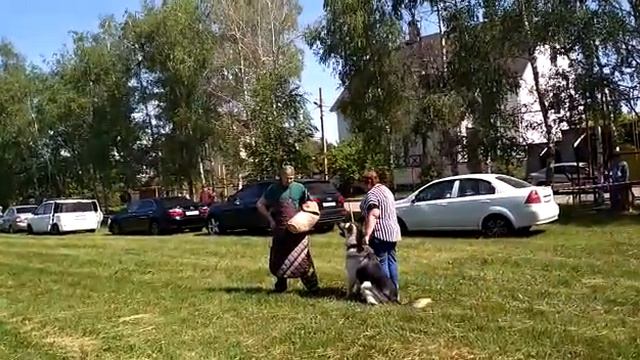 Росс Лайн Зидан ПРК г.Ставрополь 20.05.2018 смотреть онлайн