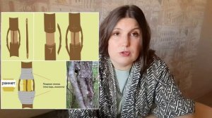 как спасти дерево, если повреждена кора