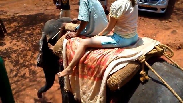 Как я котался на слоне в Индии, штат Гоа смотреть онлайн