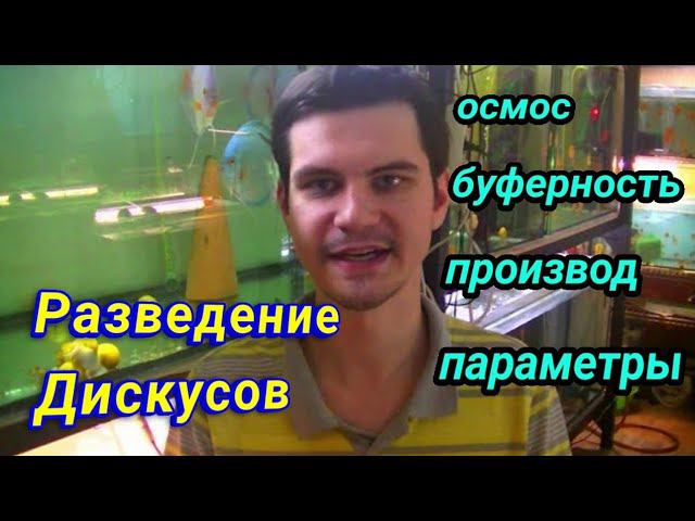 Дискусы: основы разведения и подготовки нерестовой воды смотреть онлайн