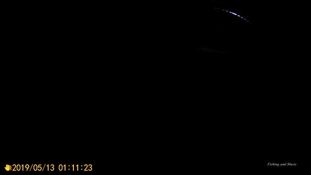 Охота на сома 2019 #3. Река Бузулук. 12 мая смотреть онлайн