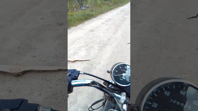 Змея на дороге смотреть онлайн
