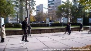 джолли джамперы бокинг boking ходули попрыгунки Jollyjumper