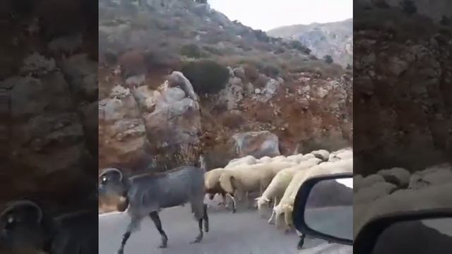 Плакиас Крит Κρήτη смотреть онлайн