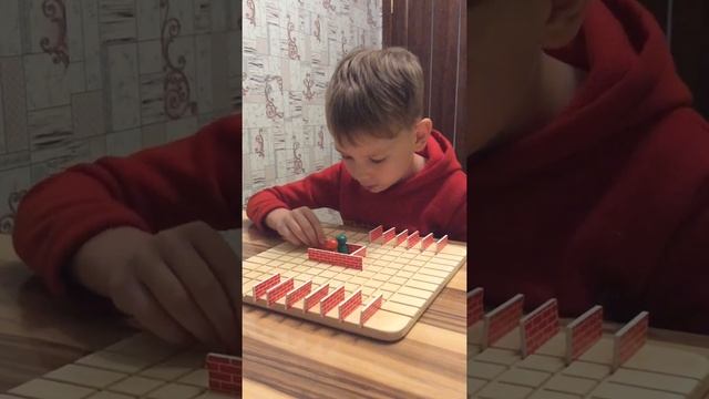 Обзор настольной игры Стена