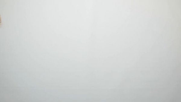 Cat TV - 12 in 1 Cat Games - Cat Toys Live - 8 Hours