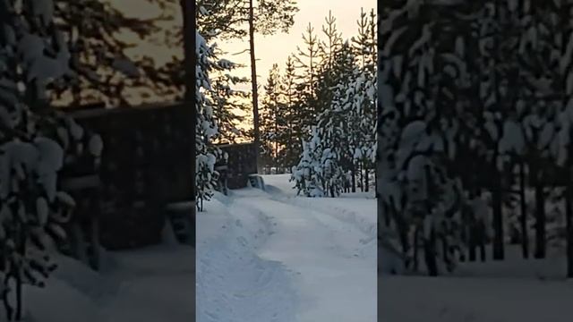 Болотохот 2 смотреть онлайн