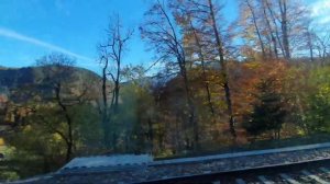 Швейцария: самая красивая железная дорога в мире| Goldenpass| Швейцария на поездах