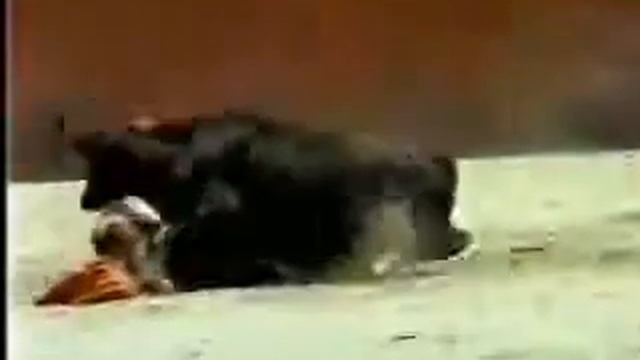 Бык против бабы карлика смотреть онлайн