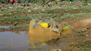 Игрушки веселятся на дамбе