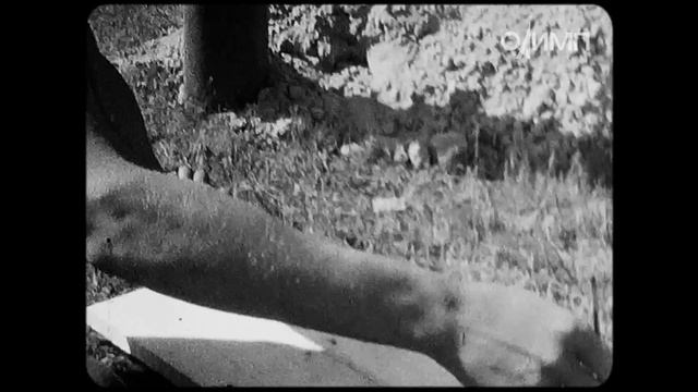Аэродром сельскохозяйственной авиации/ Кинопленка 8 мм/ 1980-е смотреть онлайн