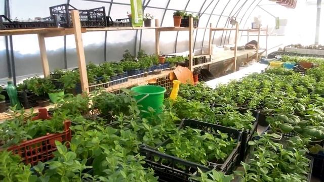 Отопление и свет в теплице! смотреть онлайн