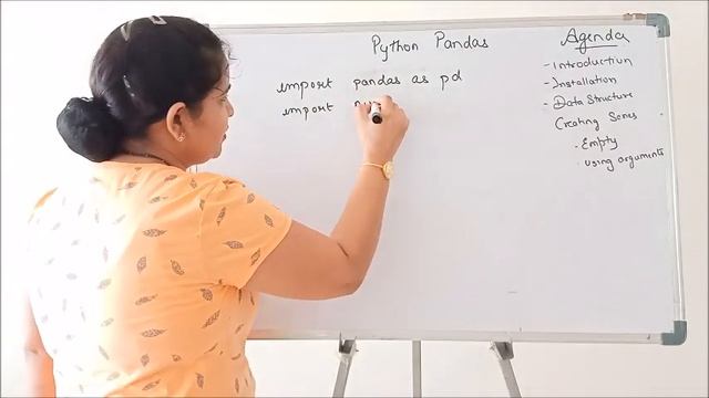 Introduction to Python Pandas Part 1| Class XII (CBSE) | Informatics Practices| Working with Series смотреть онлайн
