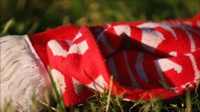 Дети – отражение своих родителей1.mp4