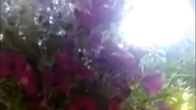 Бакинец говорит про армян - дашнаков. смотреть онлайн
