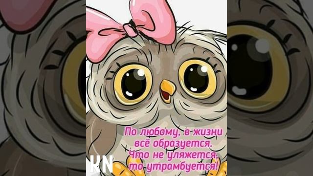С Добрым утром, друзья смотреть онлайн