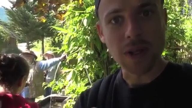 Пермакультура часть 5