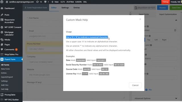 Mask Input Field in WP Fluent Form WordPress plugin смотреть онлайн