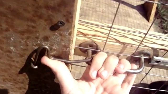 вольер для немецкой овчарки смотреть онлайн