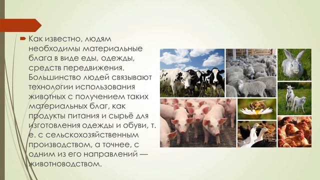 Животные и технологии 21 века смотреть онлайн